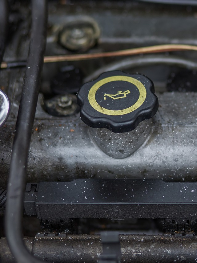 Экспресс замена масла в Минске